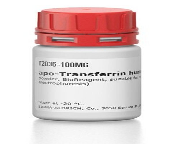 APO-TRANSFERRIN HUMAN BIOREAGENT, SUITA& pack 1X500MG