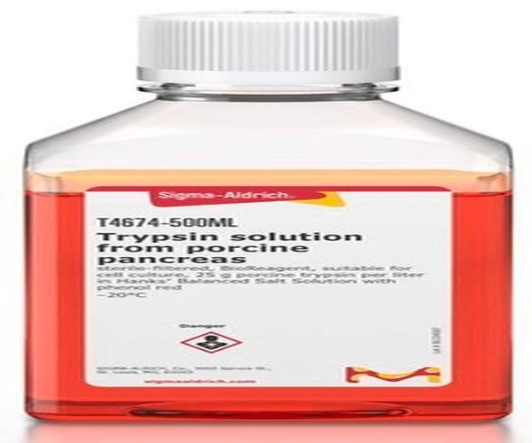 TRYPSIN SOLUTION FROM PORCINE PANCREAS& pack 1X100ML