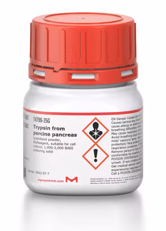 TRYPSIN FROM FROM PORCINE PANCREAS LYOP& pack 1X100G