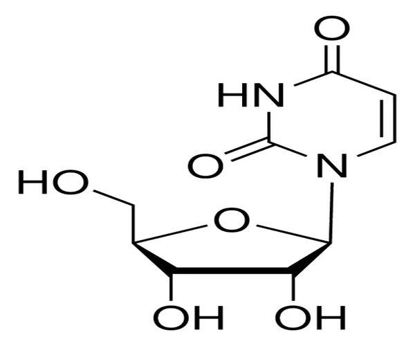 URIDINE BIOREAGENT, SUITABLE FOR CELL& pack 1X5G
