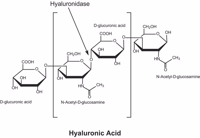 HYALURONIDASE TYPE IV-S FROM BOVINE TEST pack 1X30MG