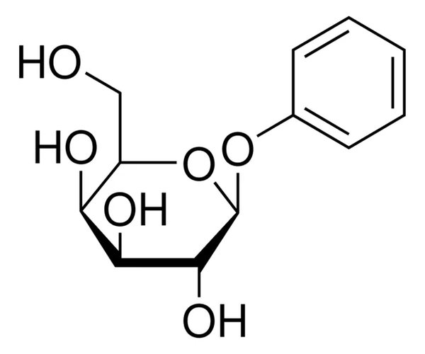 PHENYL B-D-GALACTOSIDE pack 1X1G