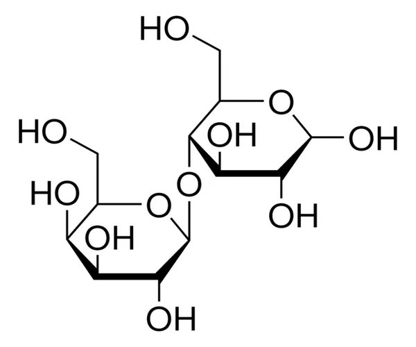 LACTOSE, TESTED ACCORDING TO PH.EUR. pack 1X1KG