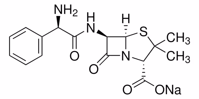 AMPICILLIN SODIUM SALT, BIOREAGENT, PO& pack 1X5G