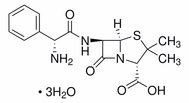 AMPICILLIN TRIHYDRATE,MEETS USP TESTING pack 1X25G