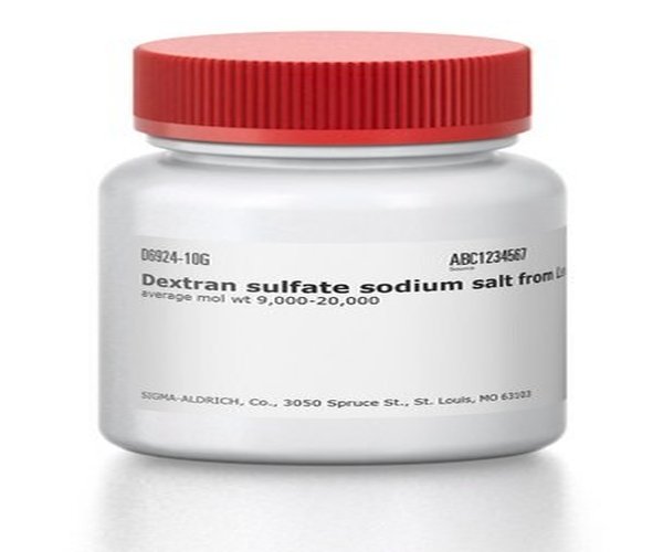 DEXTRAN SULFATE SODIUM SALT FROM & pack 1X1G