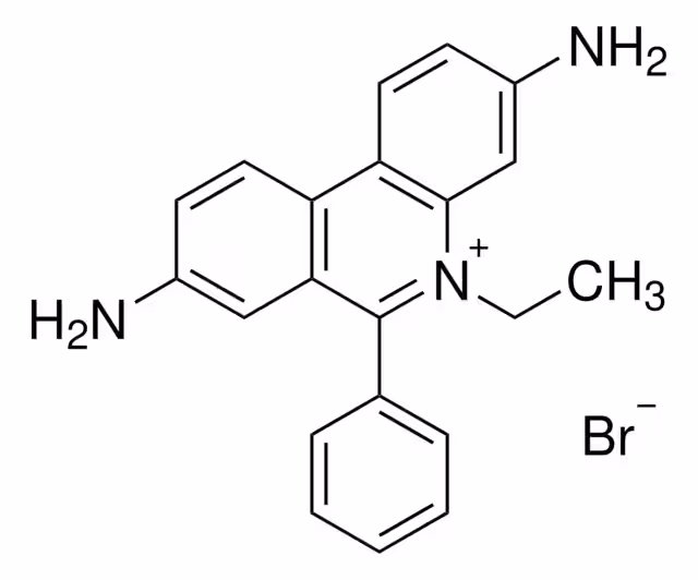 ETHIDIUM BROMIDE AQUEOUS SOLUTION 500 UG pack 1X5ML