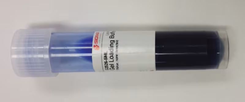 GEL LOADING BUFFER pack 1X5ML