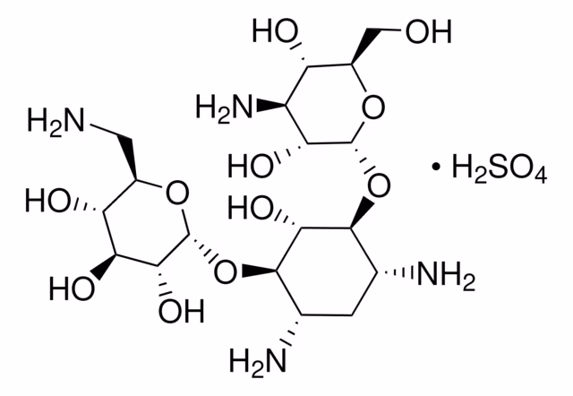 KANAMYCIN SULFATE FROM FROM STREPTOMYCE& pack 1X5G