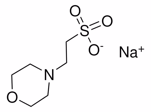 MES SODIUM SALT BIOREAGENT, >=99% (TITR& pack 1X25G