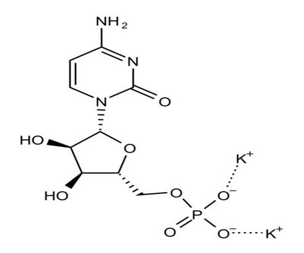 POLYCYTIDYLIC ACID (5') POTASSIUM pack 1X100MG