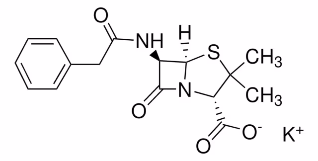 PENICILLIN G POTASSIUM SALT pack 1X100MU