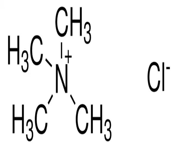 TETRAMETHYLAMMONIUM CHLORIDE SOLUTION  & pack 1X1LT