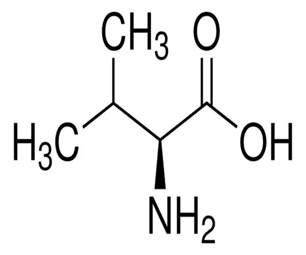 L-VALINE, REAGENT GRADE, >=98% (HPLC) pack 1X25G