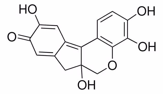 HEMATEIN FOR MICROSCOPY pack 1X10G