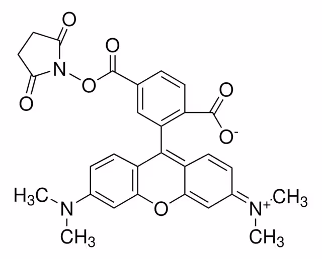 6-CARBOXY-TETRAMETHYLRHODAMINE N-SUCCIN& pack 1X5MG