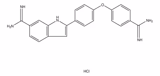 P-AMIDINOPHENYL P-(6-AMIDINO-2- INDOLYL) pack 1X5MG