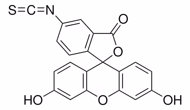 FLUORESCEIN ISOTHIOCYANATE ISOMER I pack 1X1G