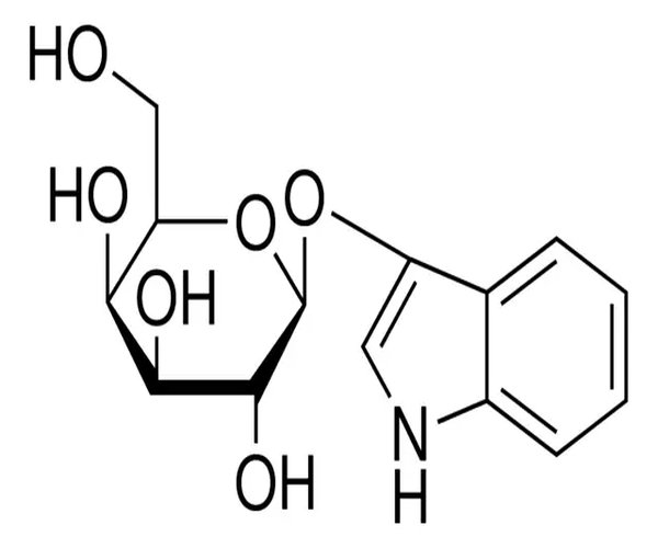 INDOXYL B-D-GALACTOPYRANOSIDE pack 1X5MG