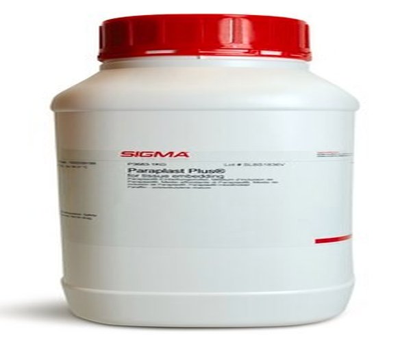 PARAPLAST PLUS , FOR TISSUE EMBEDDING pack 1X1KG