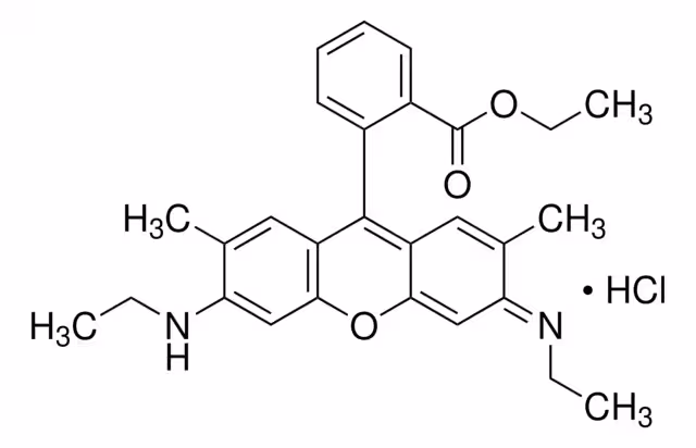 RHODAMINE 6G CHLORIDE pack 1X5G
