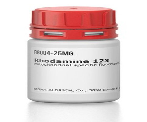 RHODAMINE 123, MITOCHONDRIAL SPECIFIC F& pack 1X100MG