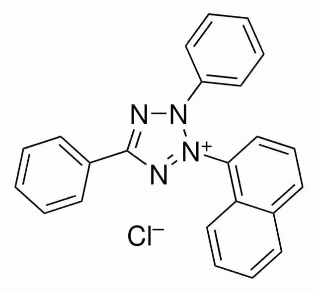 TETRAZOLIUM VIOLET pack 1X5G