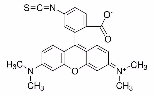 TETRAMETHYLRHODAMINE ISOTHIOCYANATE ISOM pack 1X10MG