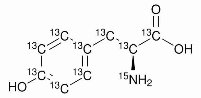 L-TYROSINE-13C9,15N, 98 ATOM % 15N, 98 & pack 1X250MG