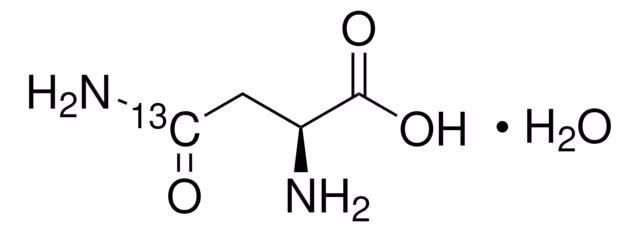 L-ASPARAGINE-4-13C MONOHYDRATE,  99  AT& pack 1X100MG