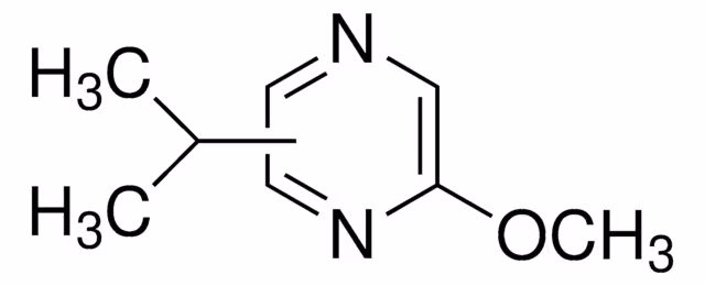 2-METHOXY-3(5 OR 6)-ISOPROPYLPYRAZINE& pack 1X100G