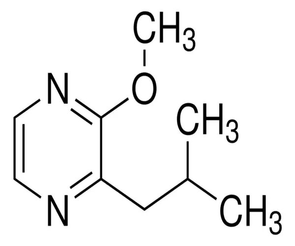 2-ISOBUTYL-3-METHOXYPYRAZINE, >=99%, FG pack 1X1EA