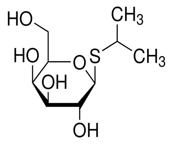 OmniPur« IPTG 1PC X 5GM pack 1X5GM