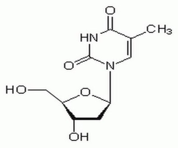 Thymidine 1PC X 5GM pack 1X5GM
