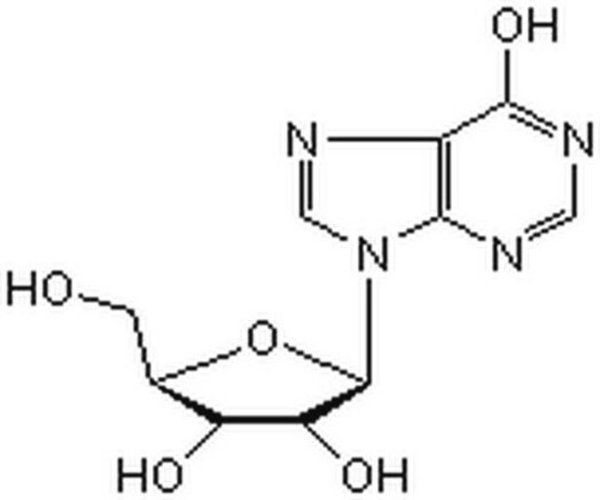 Inosine 1PC X 50GM pack 1X50GM
