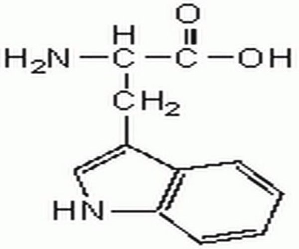 L-Tryptophan 1PC X 100GM pack 1X100GM