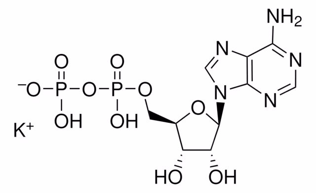 Adenosine 5#-Diphosphate, Po 1PC X 1GM pack 1X1GM