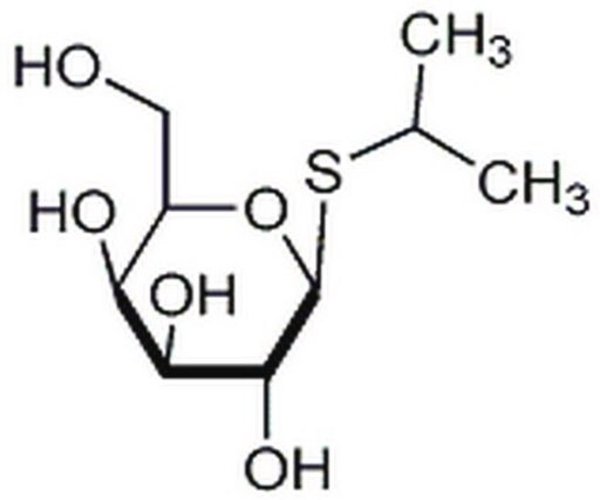 IPTG, Dioxane-Free, High Pur 1PC X 25GM pack 1X25GM