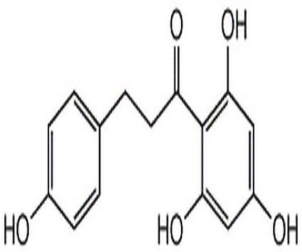 PHLORETIN 1PC X 200MG pack 1X200MG