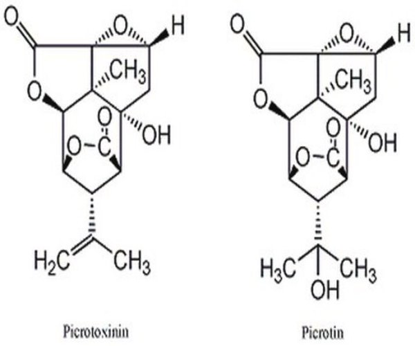 Picrotoxin, Anamirta cocculi 1PC X 100MG pack 1X100MG