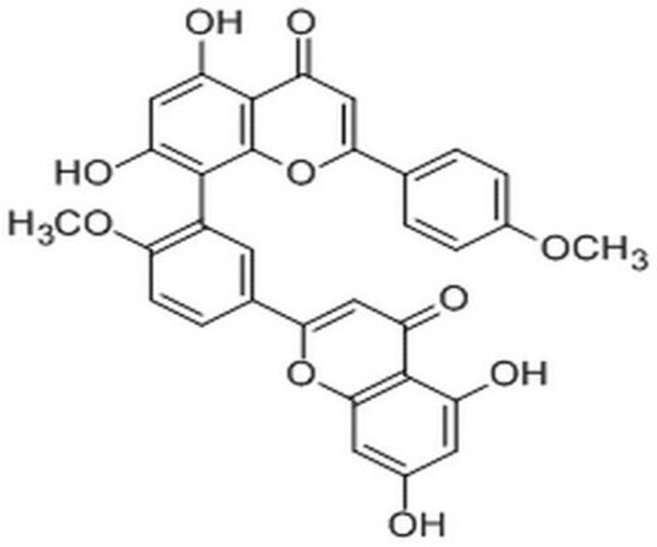 Pre-mRNA Splicing Inhibitor, 1PC X 10MG pack 1X10MG