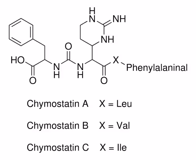 Chymostatin 1PC X 10MG pack 1X10MG