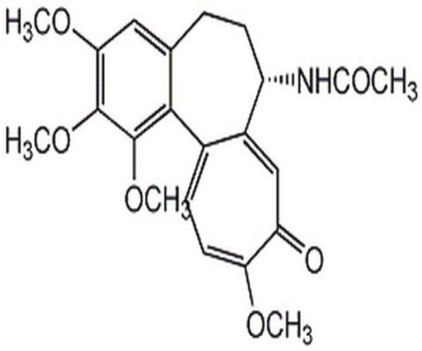 Colchicine, Colchicum autumn 1PC X 1GM pack 1X1GM
