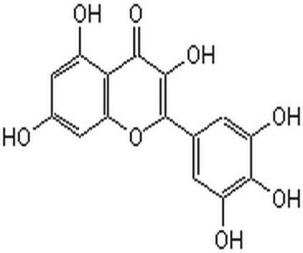 Myricetin 1PC X 25MG pack 1X25MG