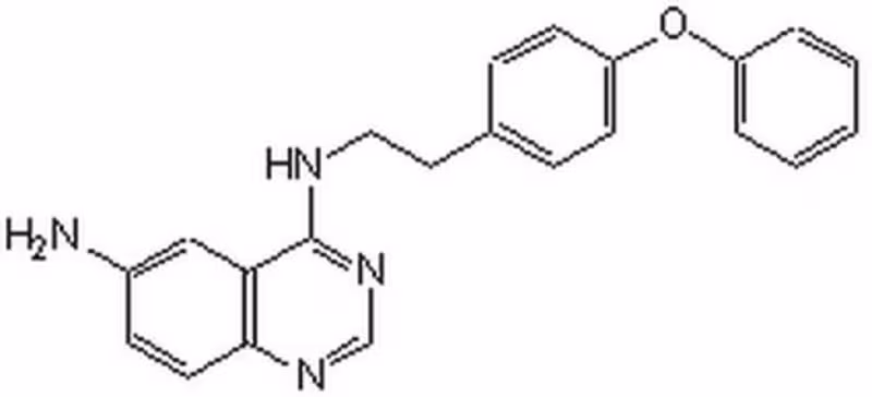 NF-#B Activation Inhibitor 1PC X 1MG pack 1X1MG