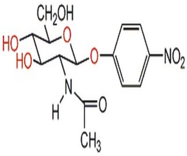 p-Nitrophenyl-N-acetyl-#-D-g 1PC X 1GM pack 1X1GM