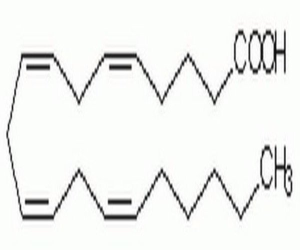 ARACHIDONIC ACID 1PC X 1GM pack 1X1GM