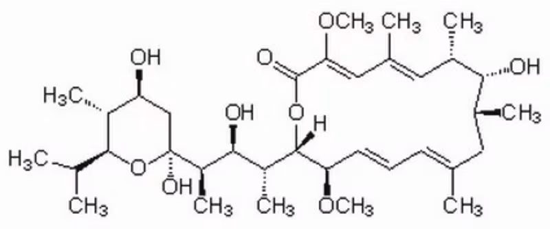 BAFILOMYCIN A1, STREPTOMYCES 1PC X 1SET pack 1X1SET