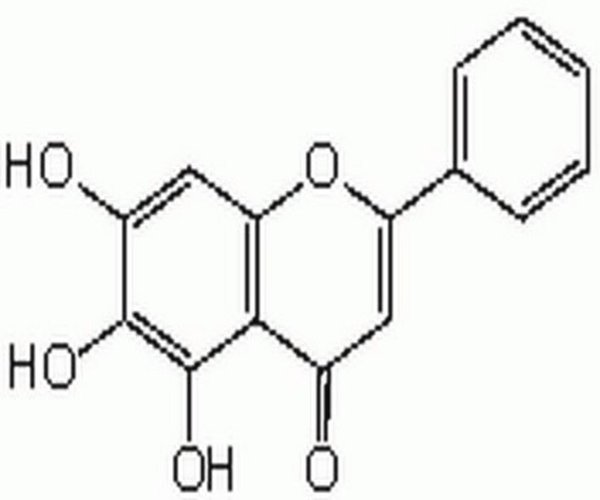 BAICALEIN 1PC X 10MG pack 1X10MG