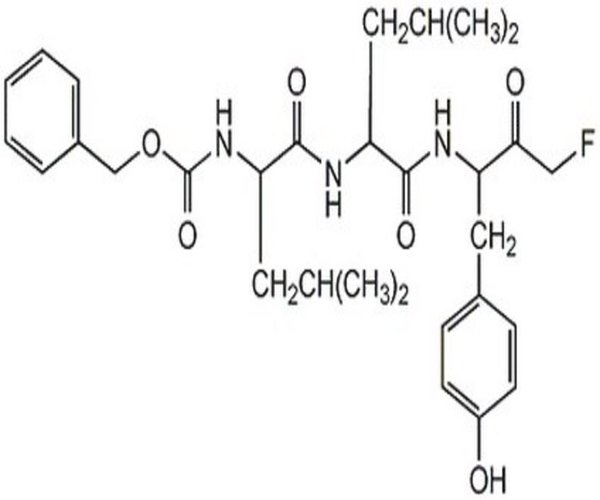 Calpain Inhibitor IV 1PC X 1MG pack 1X1MG